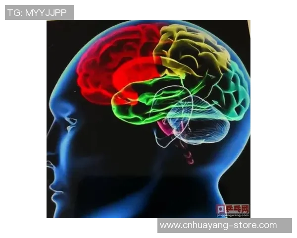 武汉乒乓球队反击战术深度分析与实战应用探讨