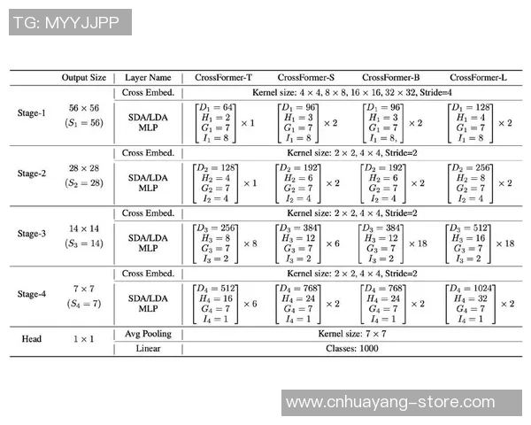 深圳排球队灵活性分析与战术创新的深度探讨