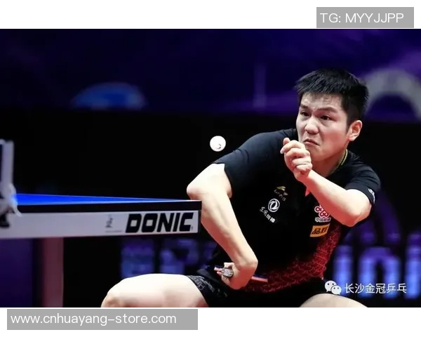 乒乓球巨献：探秘成都乒乓球队的速度