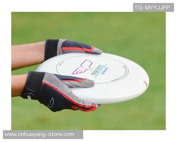 飞盘新手攻略:节奏入门指南 飞盘新手攻略:节奏入门指南