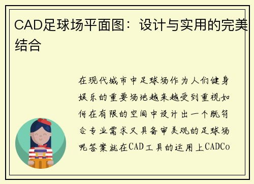 CAD足球场平面图：设计与实用的完美结合