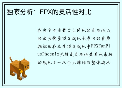 独家分析：FPX的灵活性对比