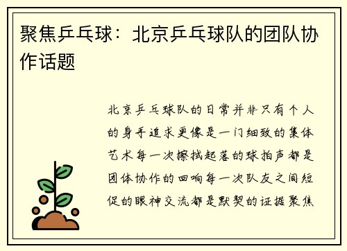 聚焦乒乓球：北京乒乓球队的团队协作话题